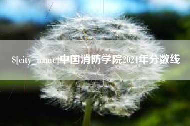 宿州中国消防学院2024年分数线