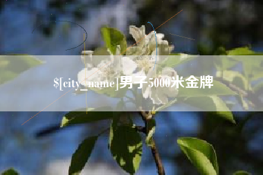 宿州男子5000米金牌