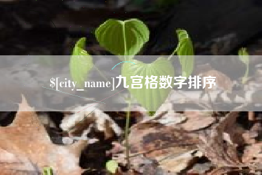 宿州九宫格数字排序
