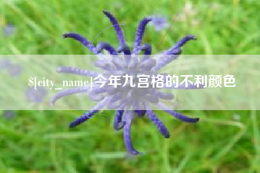 宿州今年九宫格的不利颜色