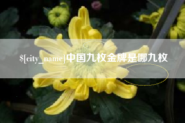 宿州中国九枚金牌是哪九枚
