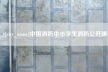宿州中国消防中小学生消防公开课