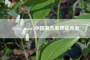 宿州中国第九金牌获得者
