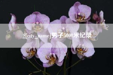 宿州男子5000米纪录