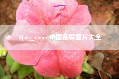 宿州中国金牌图片大全