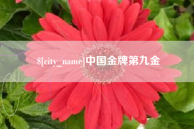 宿州中国金牌第九金