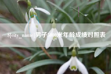宿州男子5000米年龄成绩对照表