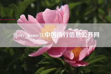 宿州1.中国执行信息公开网