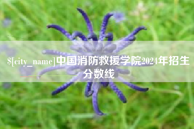 宿州中国消防救援学院2024年招生分数线