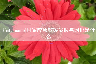 宿州国家应急救援员报名网址是什么