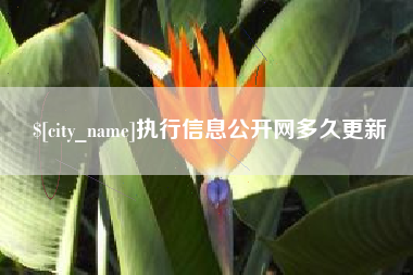 宿州执行信息公开网多久更新