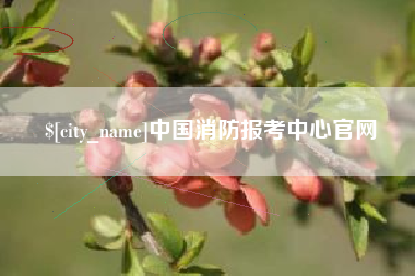 宿州中国消防报考中心官网