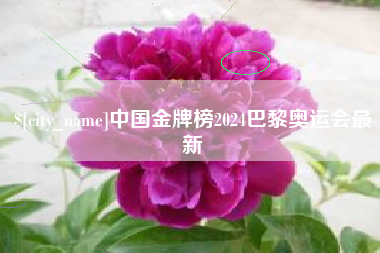 宿州中国金牌榜2024巴黎奥运会最新