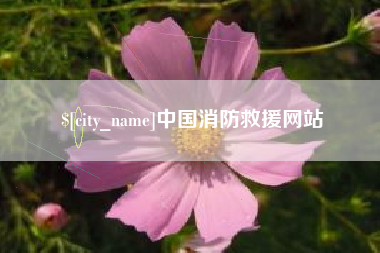 宿州中国消防救援网站