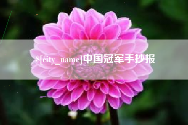 宿州中国冠军手抄报