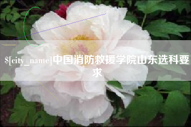 宿州中国消防救援学院山东选科要求