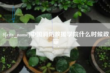 宿州中国消防救援学院什么时候政审