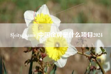 宿州中国金牌是什么项目2024