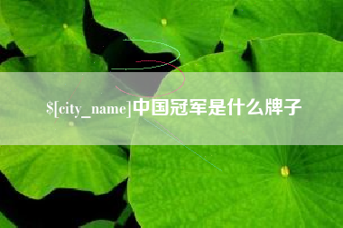 宿州中国冠军是什么牌子