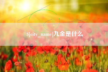 宿州九金是什么