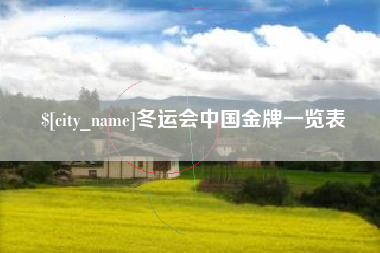 宿州冬运会中国金牌一览表