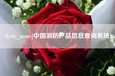 宿州中国消防产品信息查询系统1