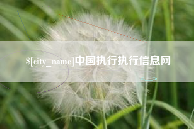 宿州中国执行执行信息网