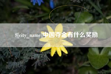 宿州中国夺金有什么奖励