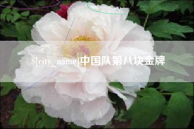 宿州中国队第八块金牌