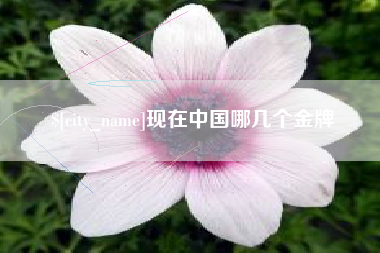 宿州现在中国哪几个金牌