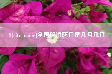 宿州全国的消防日是几月几日