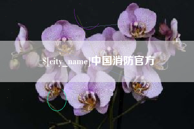 宿州中国消防官方