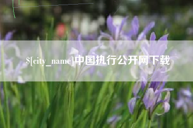 宿州中国执行公开网下载