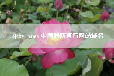 宿州中国消防官方网站域名