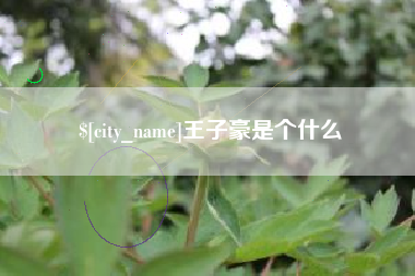 宿州王子豪是个什么