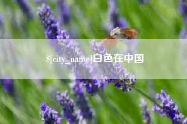 宿州白色在中国