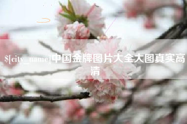 宿州中国金牌图片大全大图真实高清