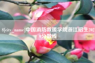 宿州中国消防救援学院浙江招生2020分数线