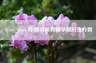 宿州中国消防救援学院招生分数