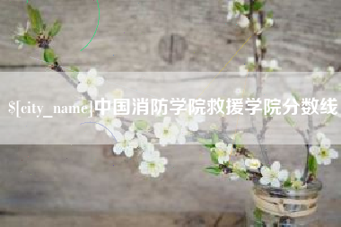 宿州中国消防学院救援学院分数线