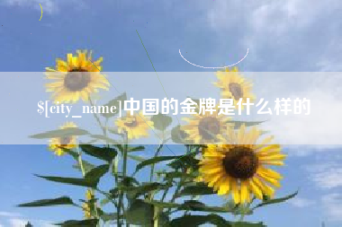 宿州中国的金牌是什么样的