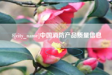 宿州中国消防产品质量信息