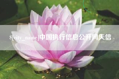 宿州中国执行信息公开网失信