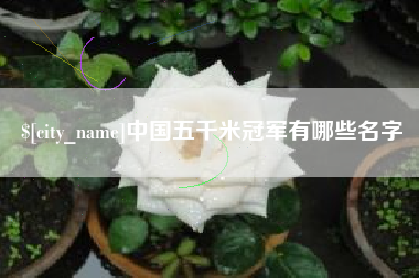宿州中国五千米冠军有哪些名字