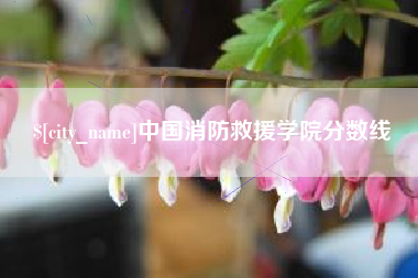 宿州中国消防救援学院分数线