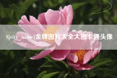 宿州金牌图片大全大图卡通头像