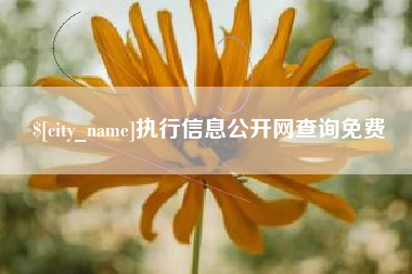 宿州执行信息公开网查询免费