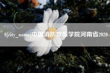 宿州中国消防救援学院河南省2020